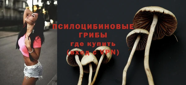 круглые Алексеевка