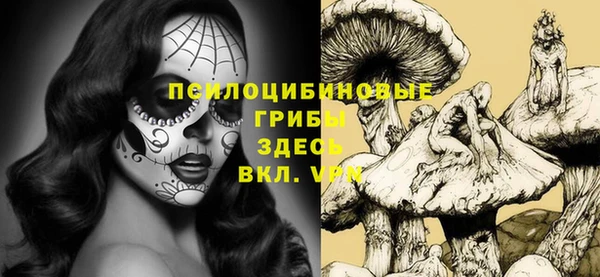 круглые Алексеевка