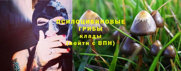 круглые Алексеевка
